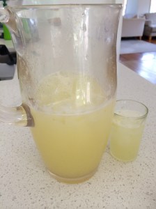 Freshest lemonade ever