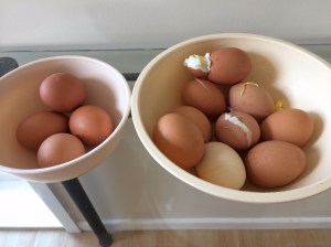 Boiling eggs, the ones on left are out of thermomix, the ones on the right from pot on stove 